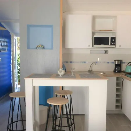 Maison Bretignolles-Sur-Mer, 1 Piece, 2 Personnes - Fr-1-224A-42 *